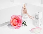 Автопарфюм Meileeur женский №1 по мотивам Lacoste - Pour Femme подвесной 5мл.