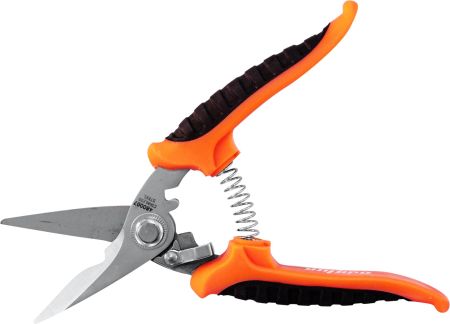 Изображение загружено обработкой из каталога сайта